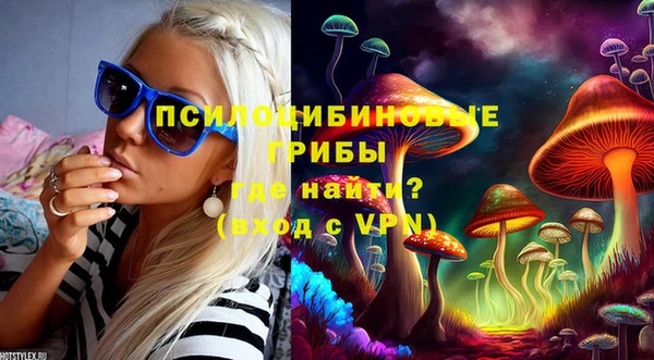трава Беломорск