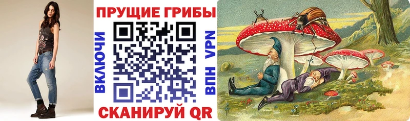 KRAKEN ССЫЛКА  Костомукша  Галлюциногенные грибы Psilocybe 